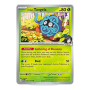 קלפי אספנות פוקימון Tangela – מארז Pokémon TCG ME: Ascended Heroes 2-Pack Blister מבית אנימה מרקט רק ב - https://anime-market.co.il