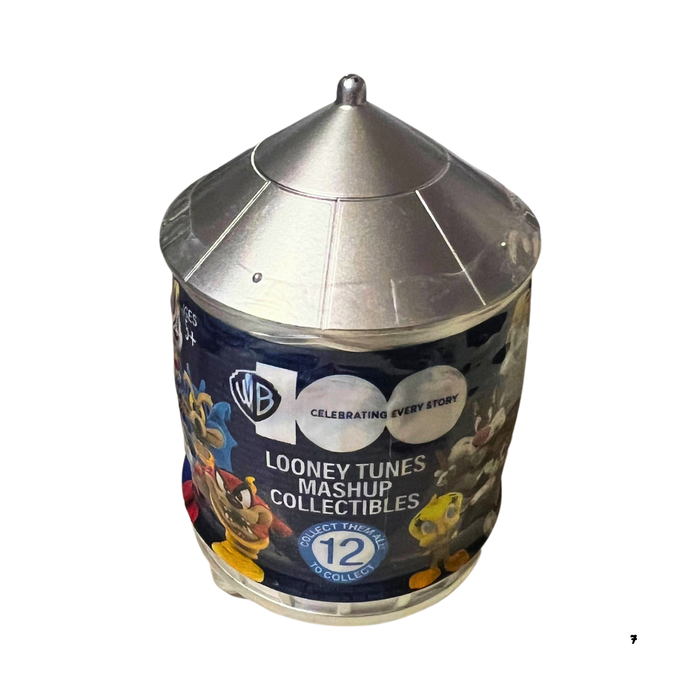 קפסולת הפתעה לוני טונס x הארי פוטר x DC – 12 דמויות אספנות מיני 2.5 אינץ’ | WB100 HeadStart