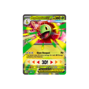 Pokémon TCG Mega Evolution: Ascended Heroes – Mega Meganium ex Box | בלעדי לאתר מבית אנימה מרקט רק ב - https://anime-market.co.il